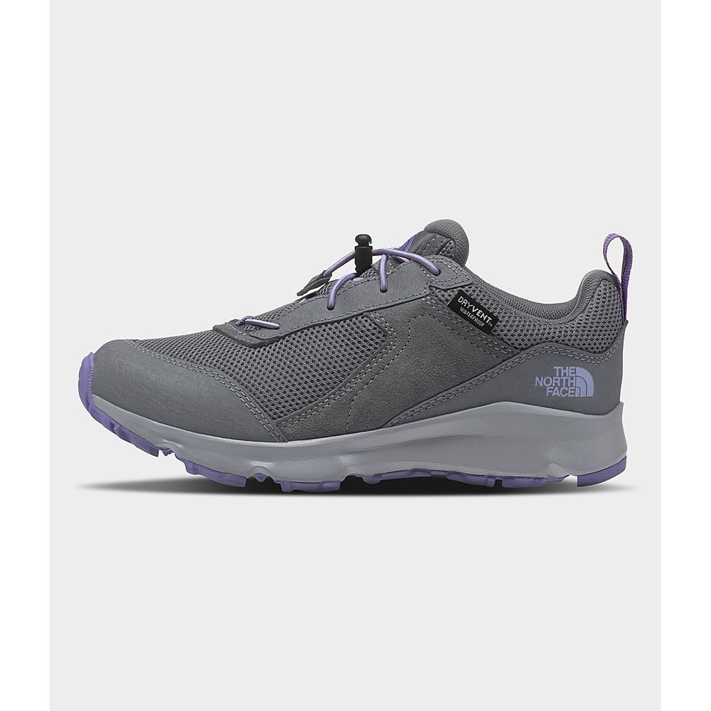 The North Face Boots Boys Australia - The North Face Jr Hedgehog Hikers Ii Waterproof Grey Lavender